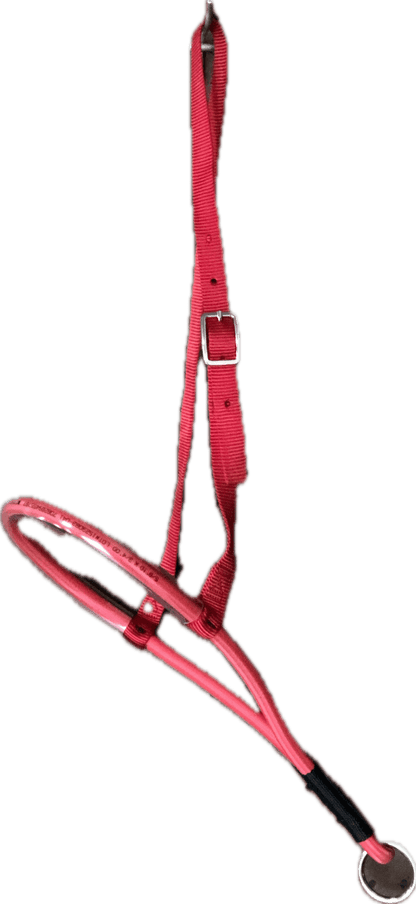 POLY-COATED SHOCK CORD TIE DOWN