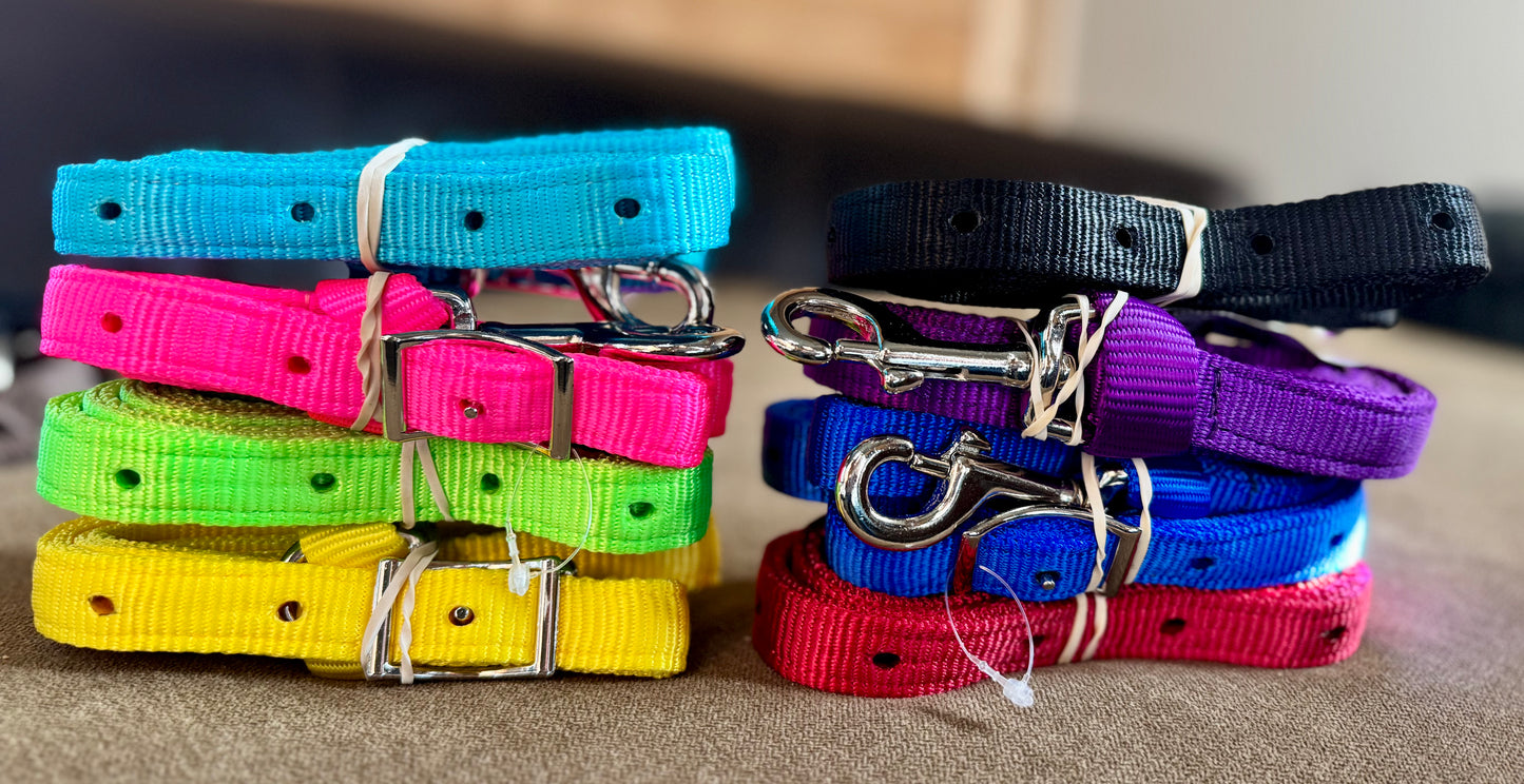 Tie Down Strap with Conway