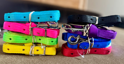 Tie Down Strap with Conway