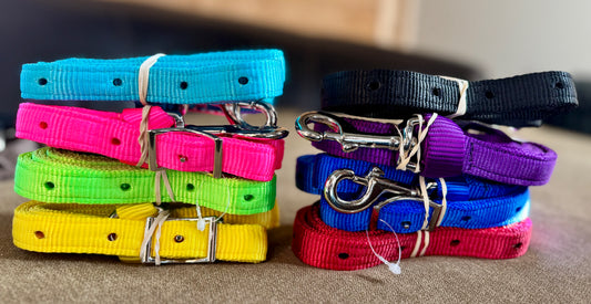 Tie Down Strap with Conway