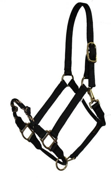 Combination Halter