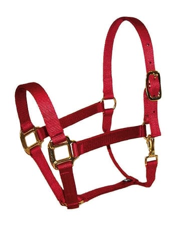 Nylon Horse Halter